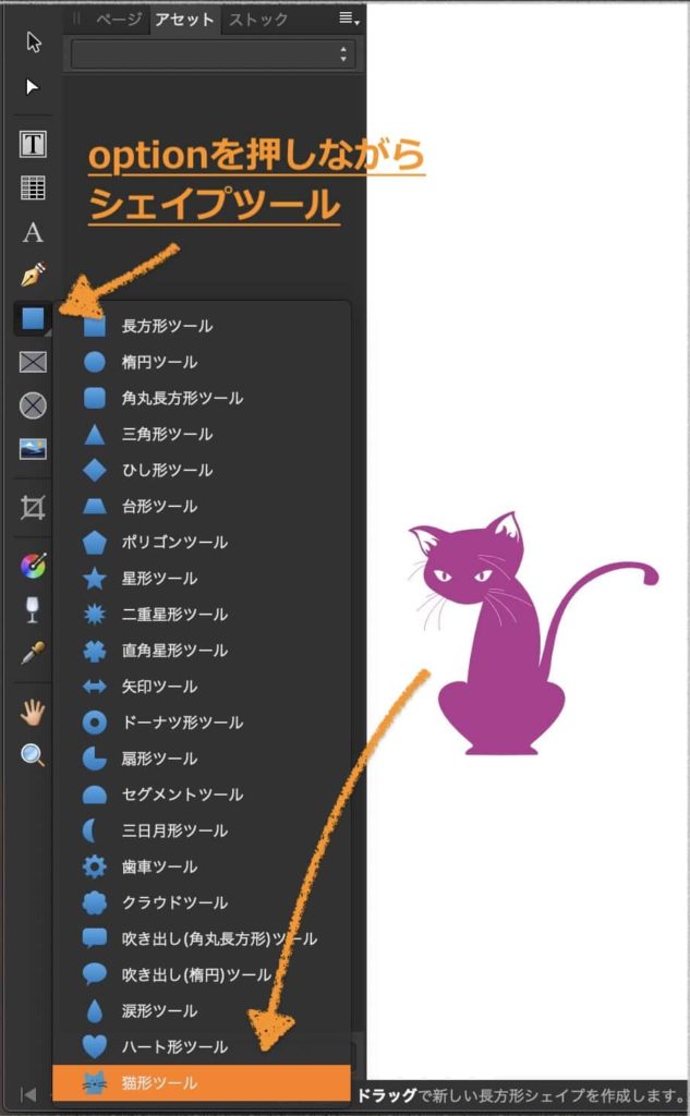 Affinityに居る猫